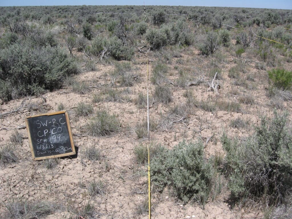 2013: 6 years post-treatment