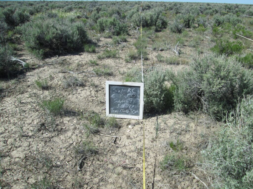 2017: 10 years post-treatment