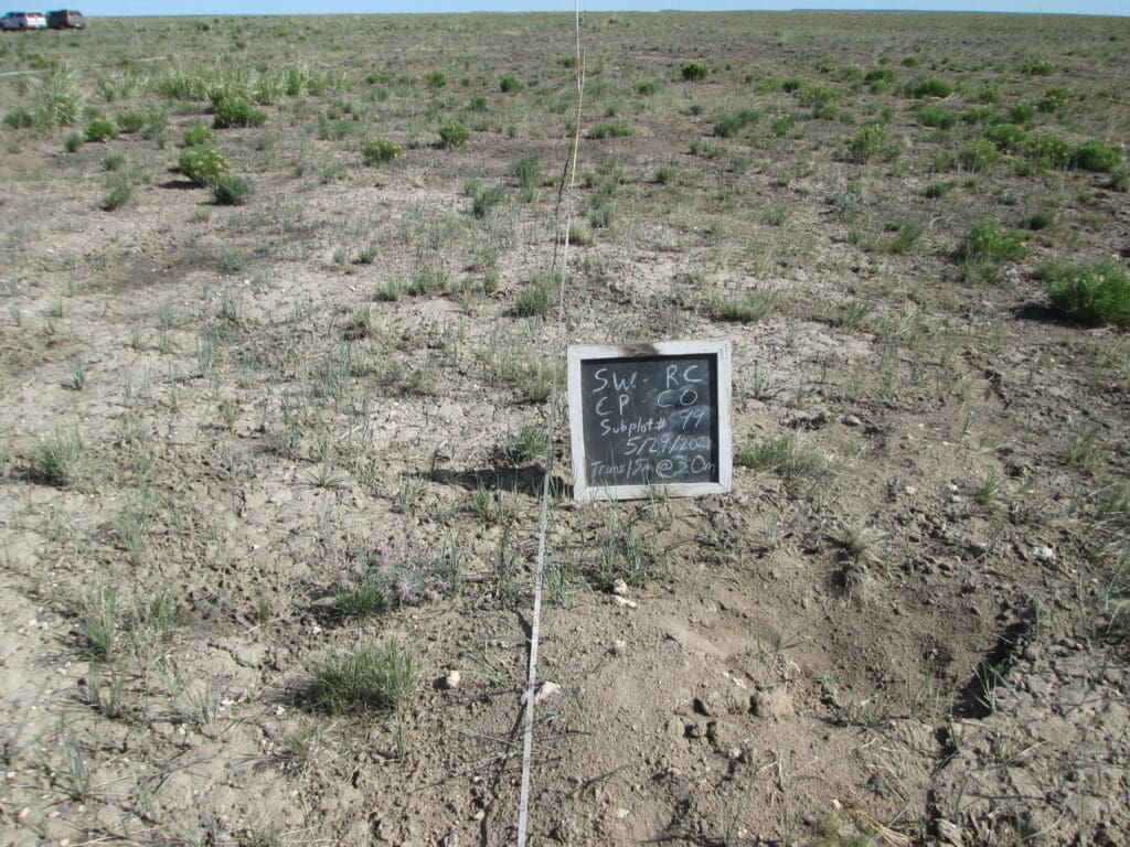 2021: 14 years post-treatment <br />
2 years post-wildfire