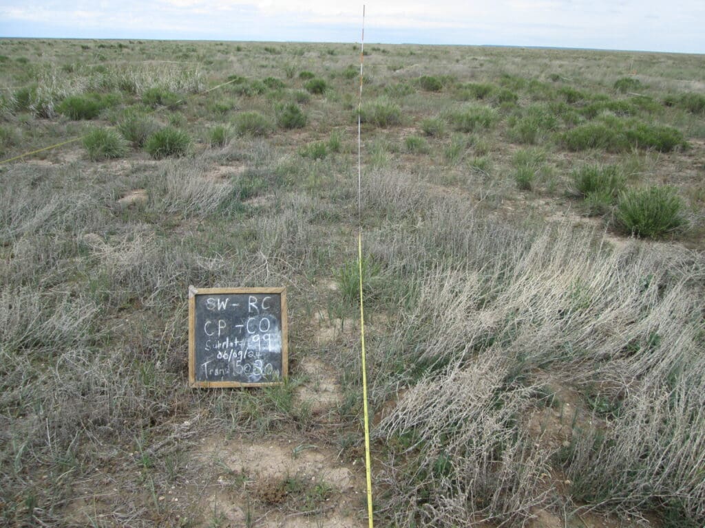 2024: 17 years post-treatment <br />
5 years post-wildfire