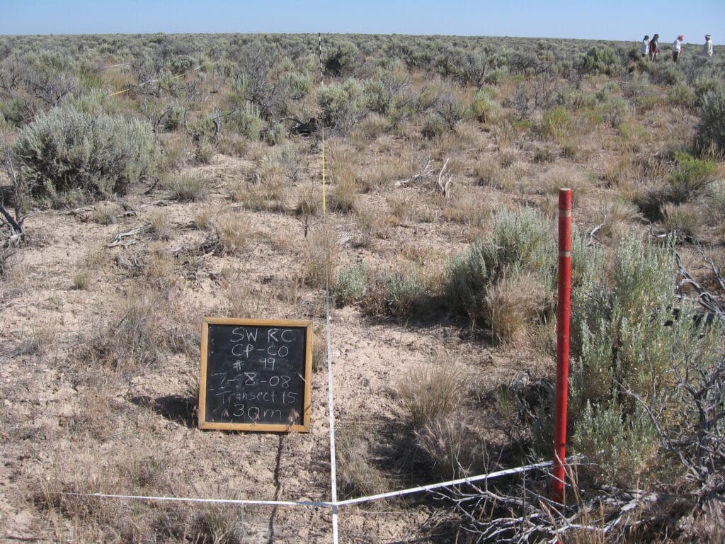 2008: 1 year post-treatment