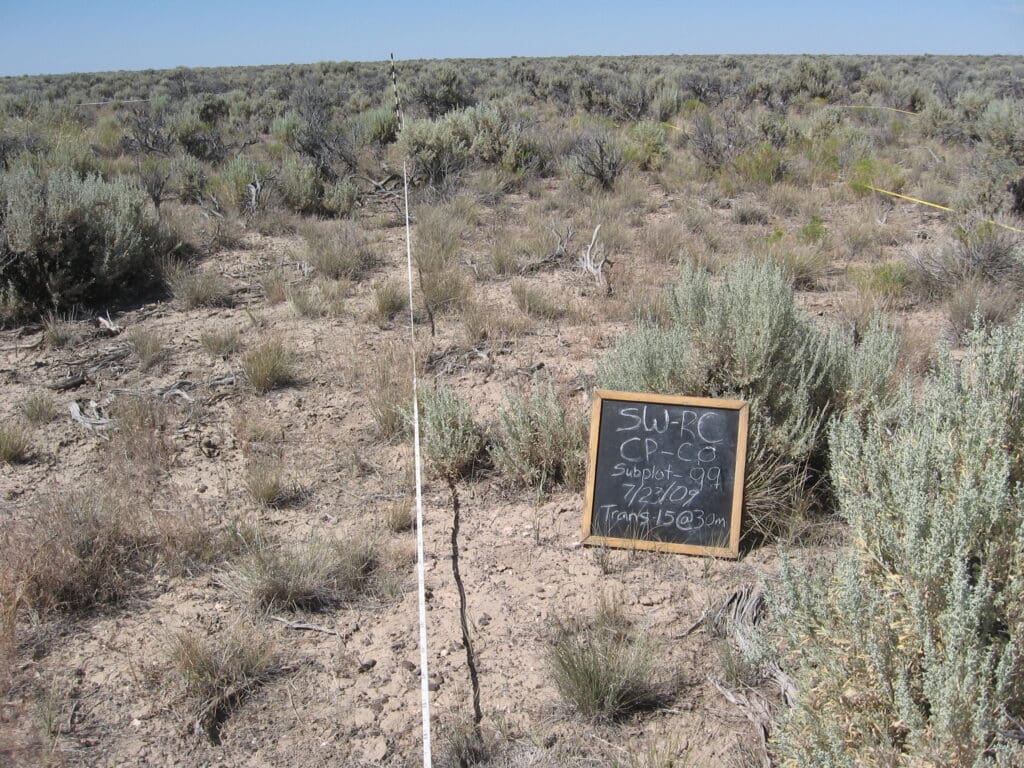 2009: 2 years post-treatment