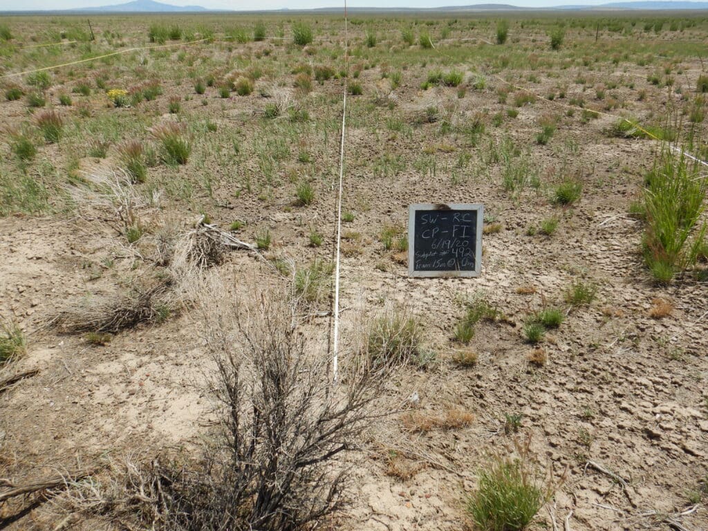 2020: 13 years post-treatment <br />
1 year post-wildfire