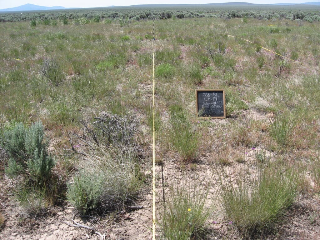 2010: 3 years post-treatment