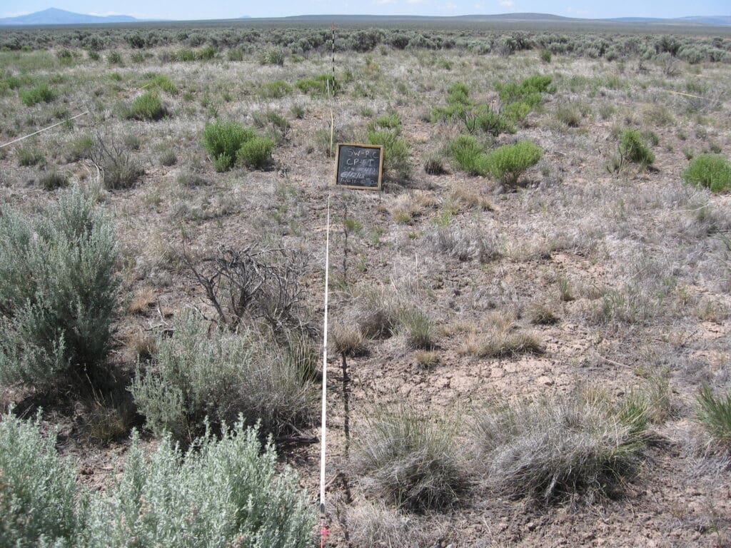 2013: 6 years post-treatment