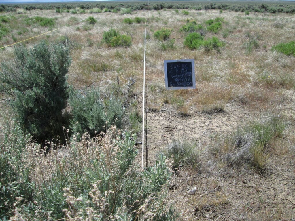 2017: 10 years post-treatment