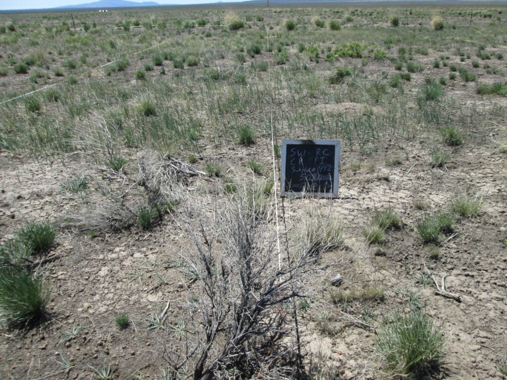 2021: 14 years post-treatment <br />
2 years post-wildfire