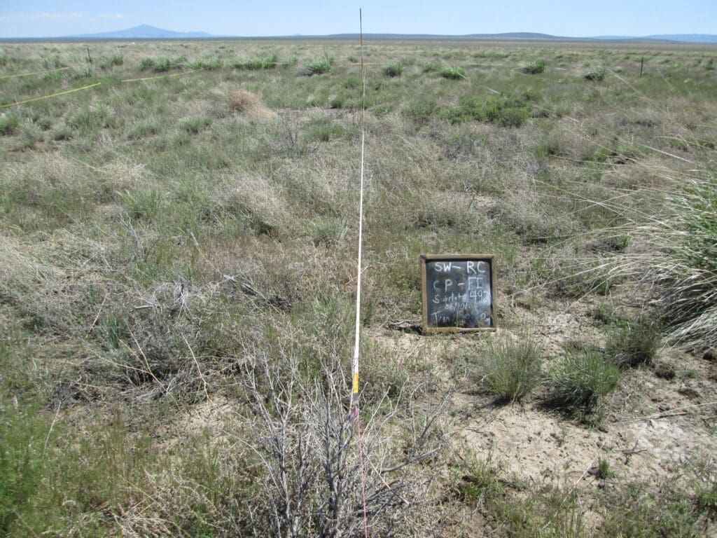 2024: 17 years post-treatment <br />
5 years post-wildfire