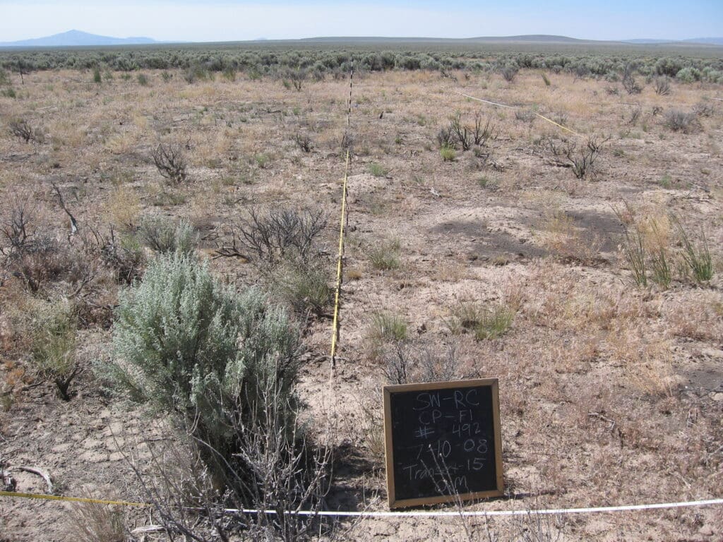 2008: 1 year post-treatment