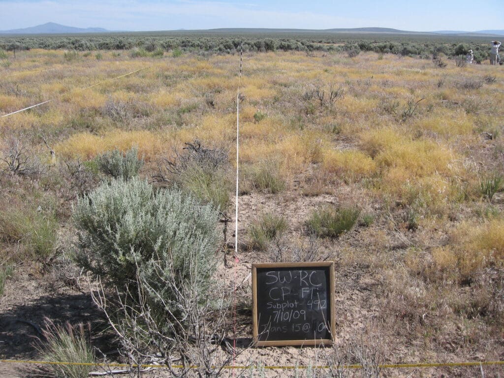 2009: 2 years post-treatment