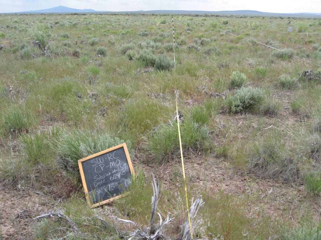 2010: 3 years post-treatment