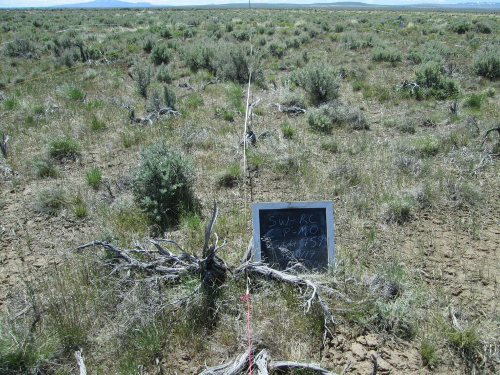 2017: 10 years post-treatment