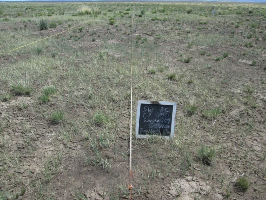 2021: 14 years post-treatment <br />
2 years post-wildfire