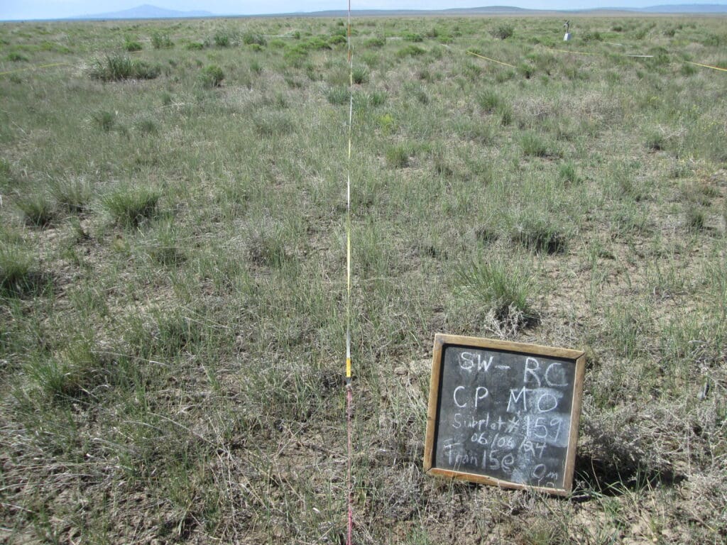 2024: 17 years post-treatment <br />
5 years post-wildfire