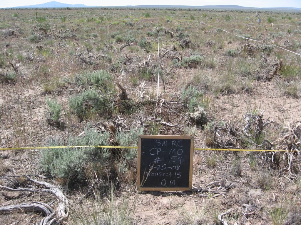 2008: 1 year post-treatment