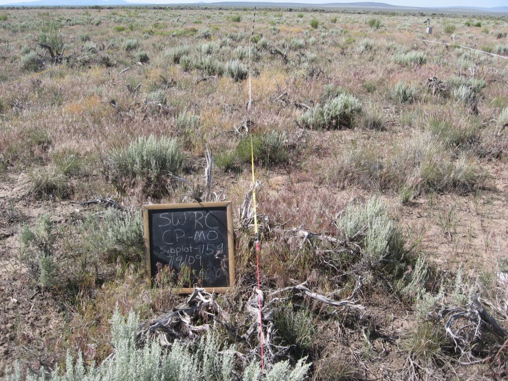 2009: 2 years post-treatment