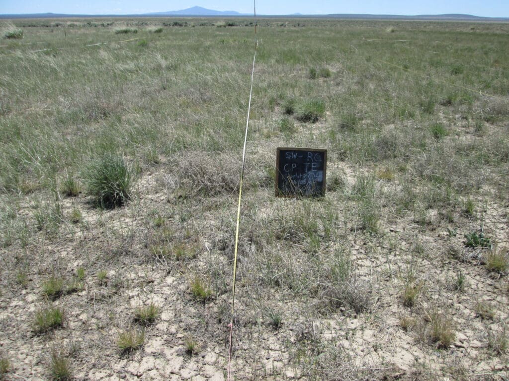 2024: 17 years post-treatment <br />
5 years post-wildfire