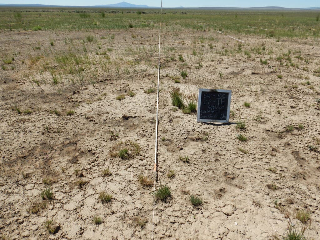 2021: 13 years post-treatment <br />
1 year post-wildfire