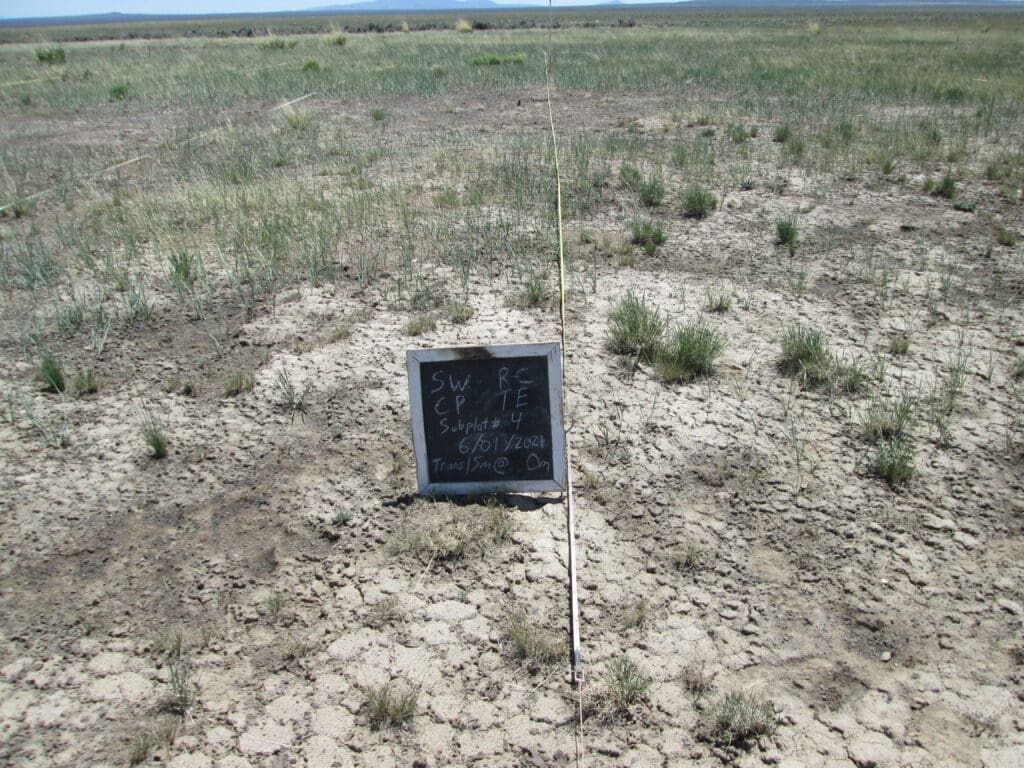 2021: 14 years post-treatment <br />
2 years post-wildfire