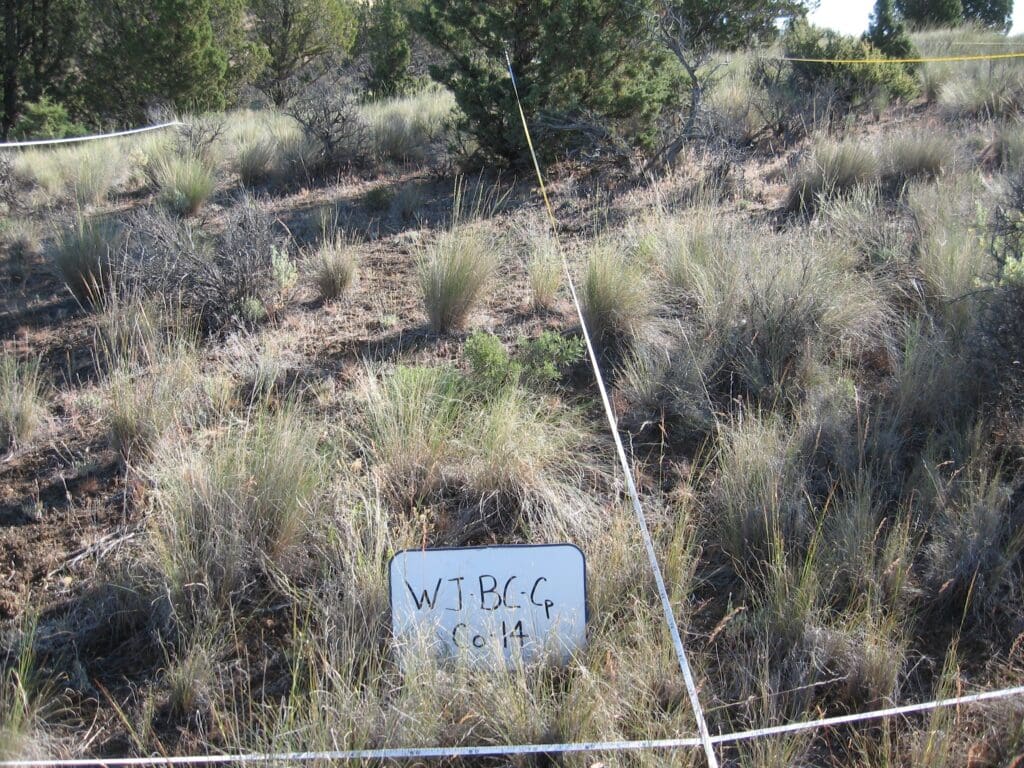 2007: 1 year post-treatment