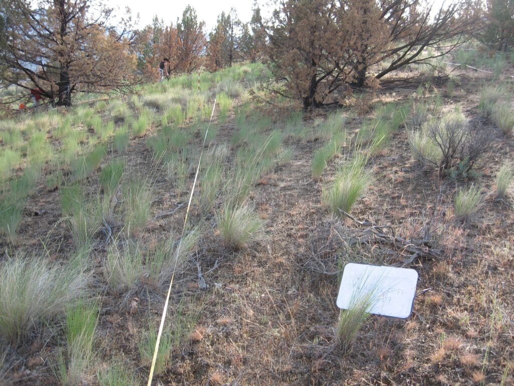 2007: 1 year post-treatment