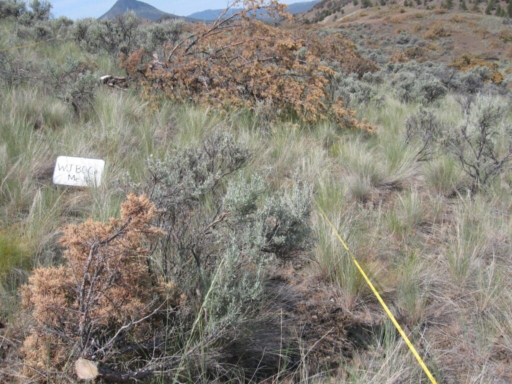 2007: 1 year post-treatment