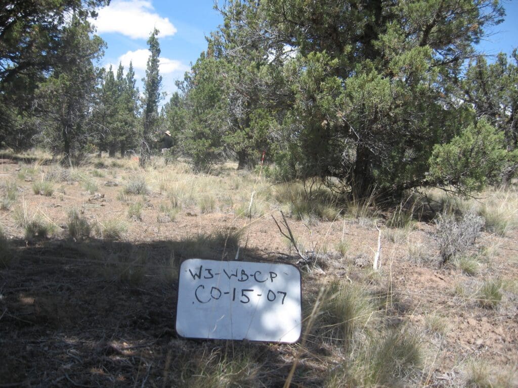 2007: 1 year post-treatment