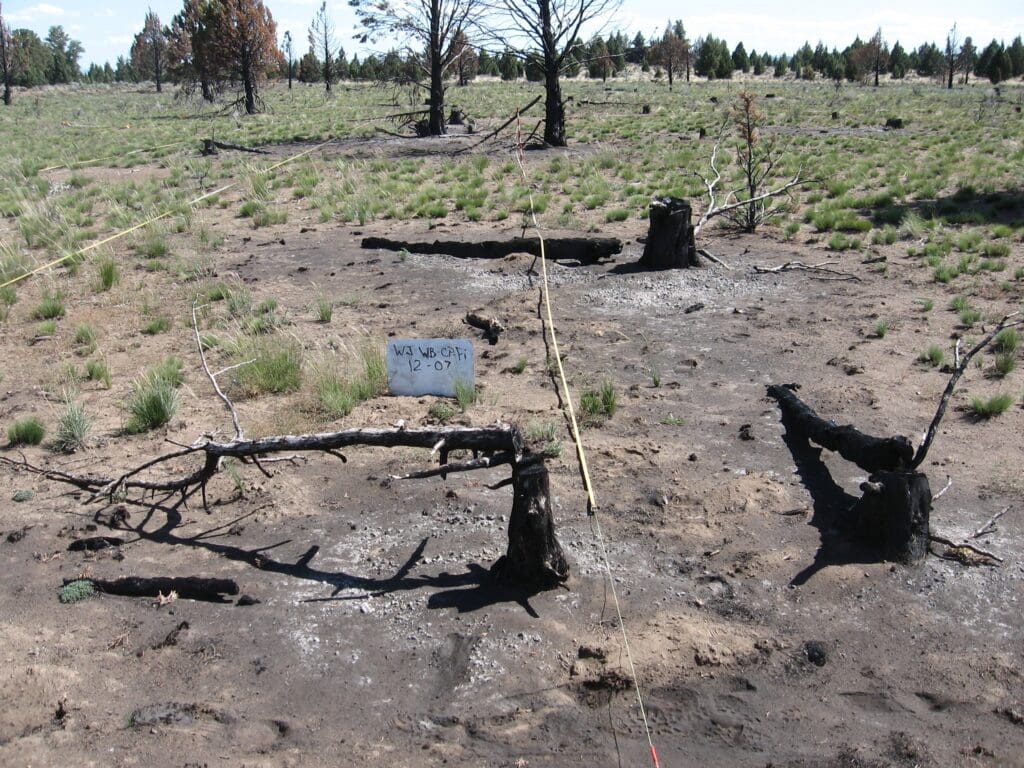 2007: 1 year post-treatment