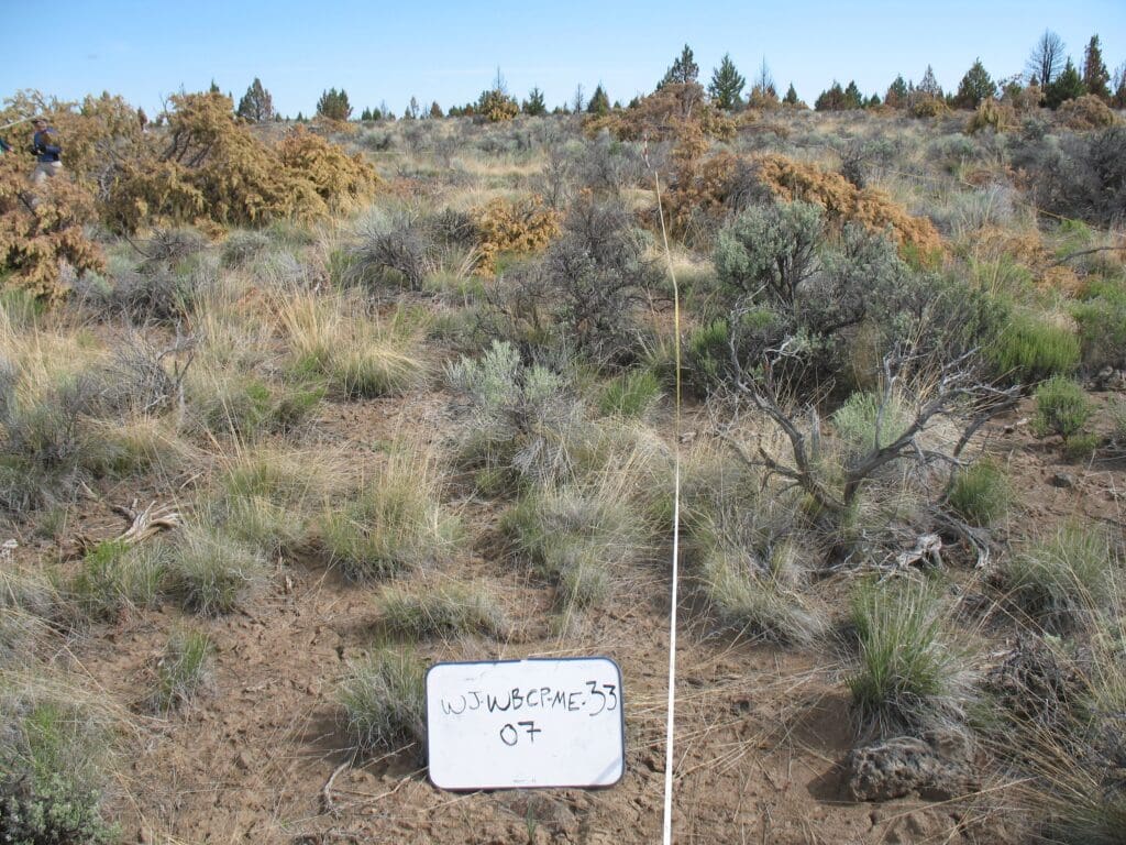 2007: 1 year post-treatment