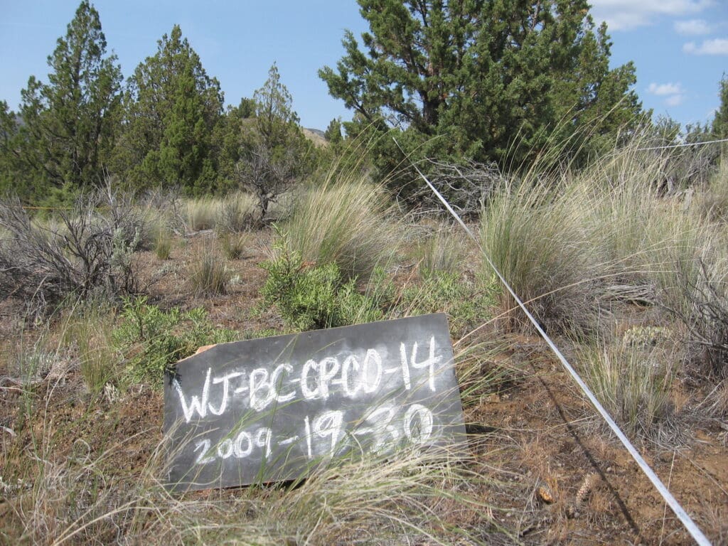 2009: 3 years post-treatment