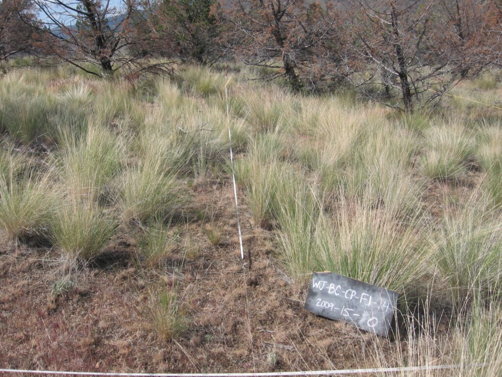 2009: 3 years post-treatment