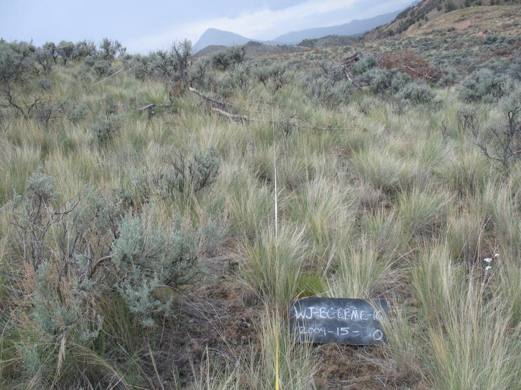 2009: 3 years post-treatment