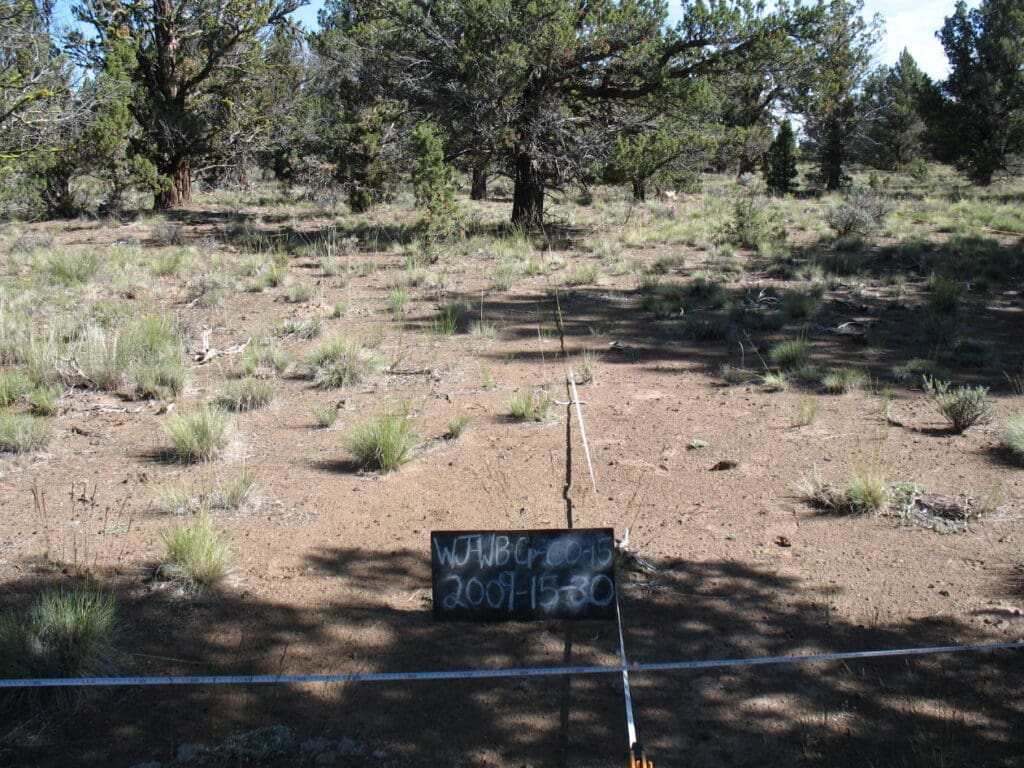 2009: 3 years post-treatment