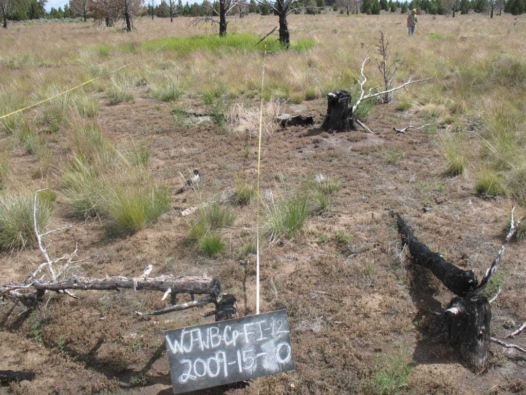 2009: 3 years post-treatment