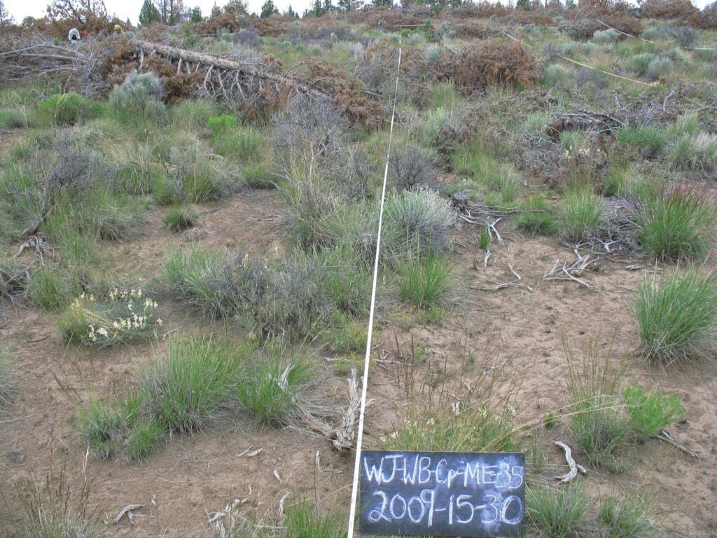 2009: 3 years post-treatment