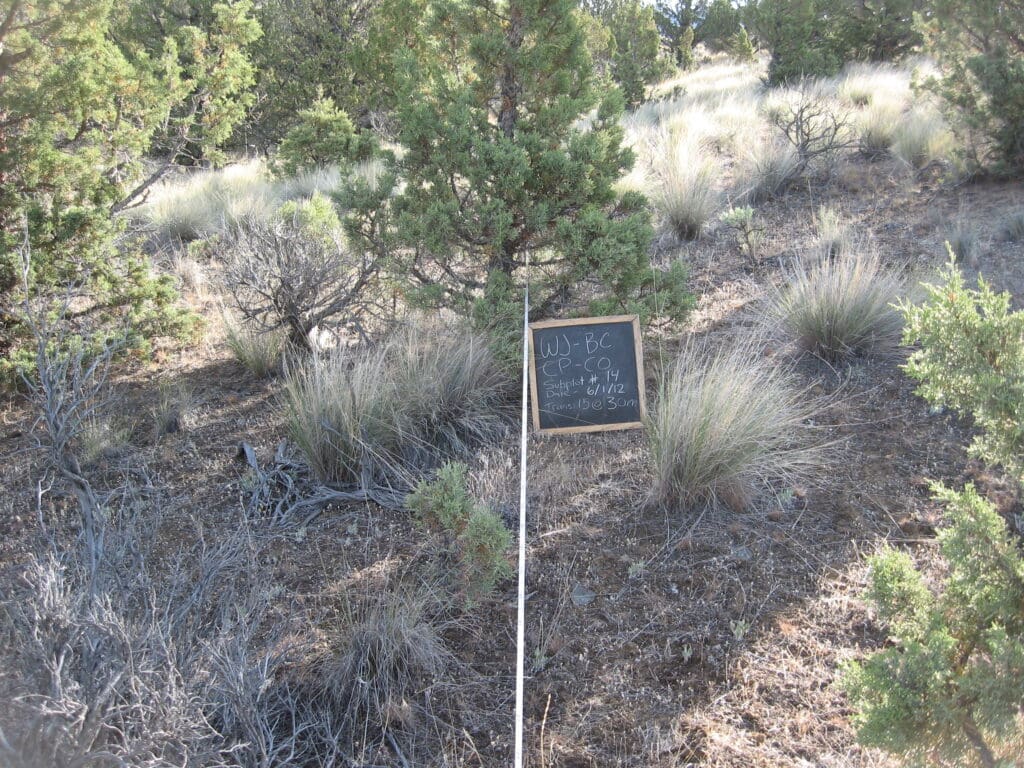 2012: 6 years post-treatment