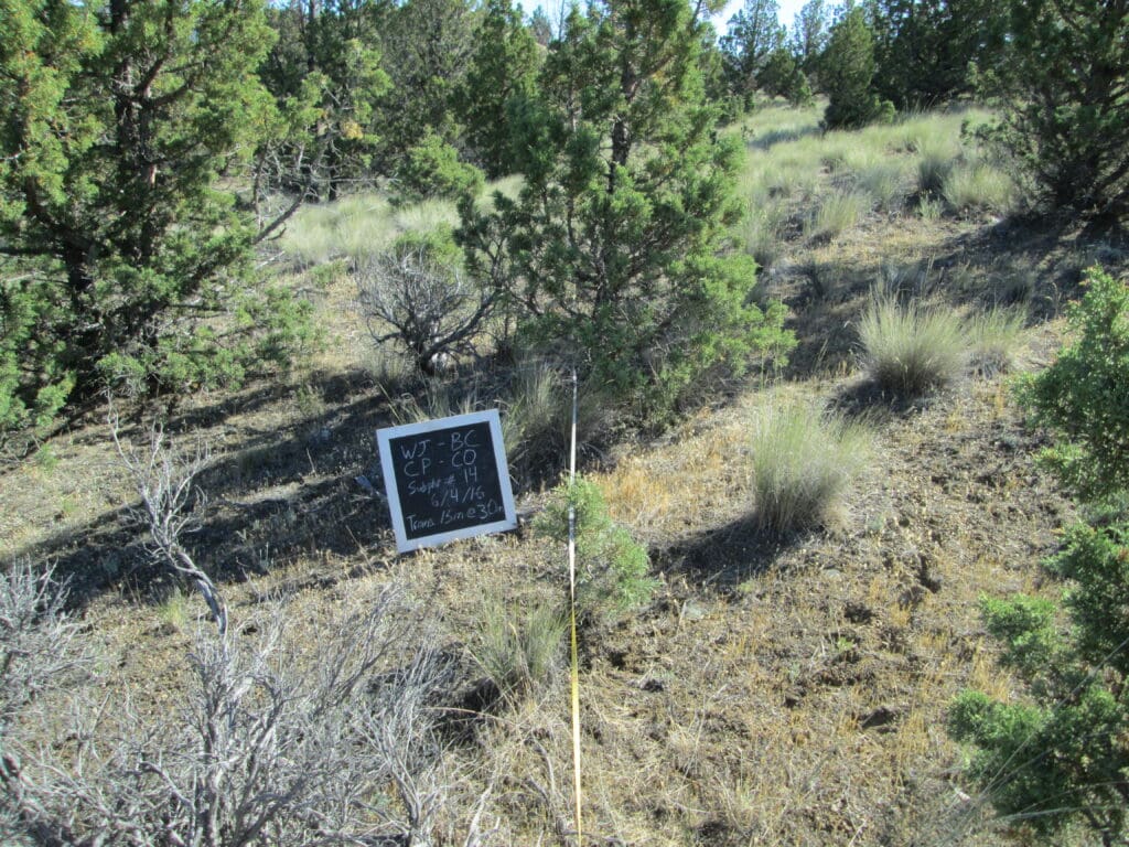 2016: 10 years post-treatment