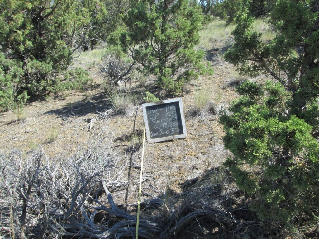 2021: 15 years post-treatment