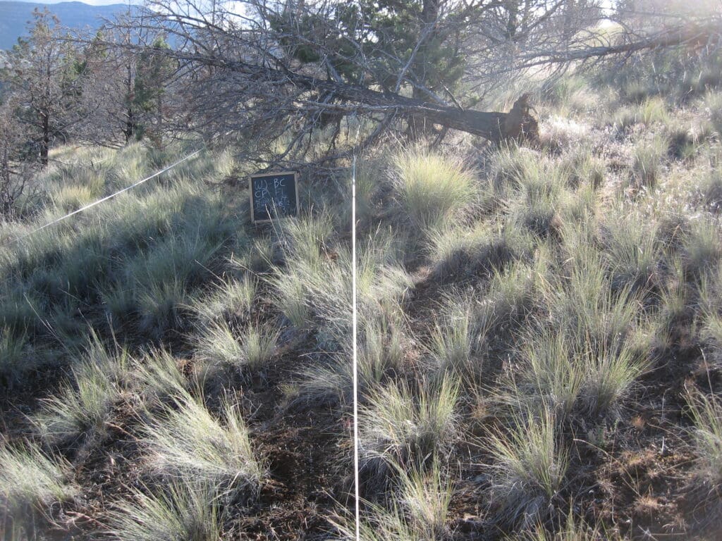 2012: 6 years post-treatment