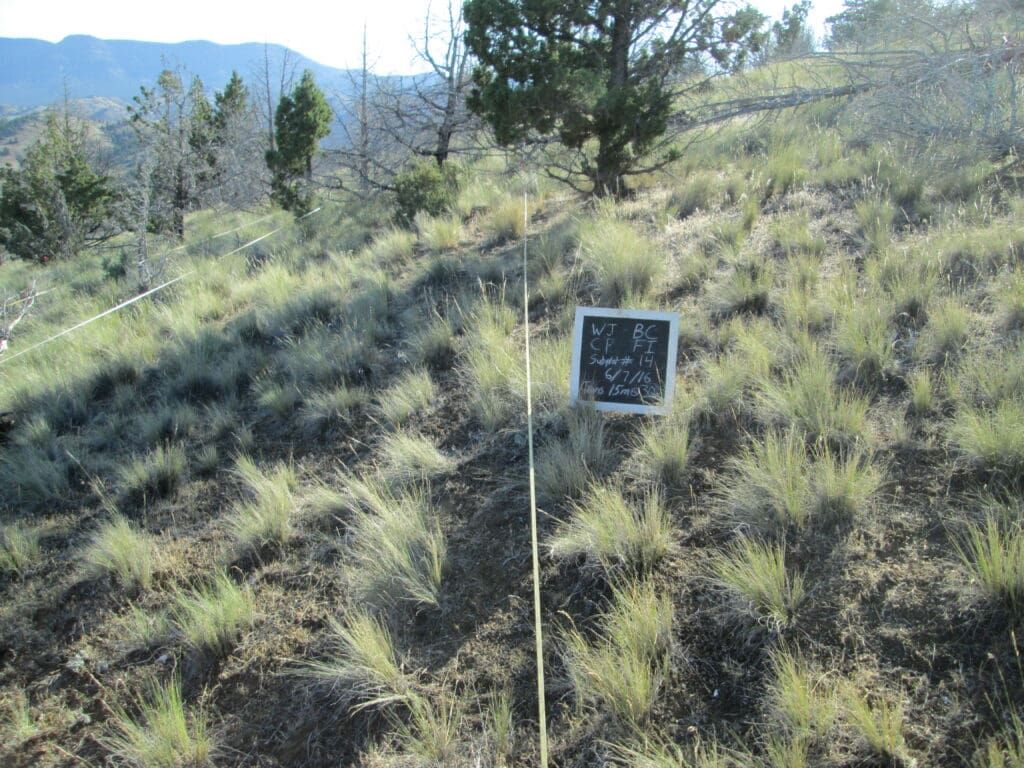 2016: 10 years post-treatment