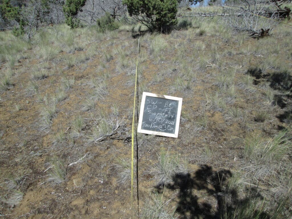 2021: 15 years post-treatment 