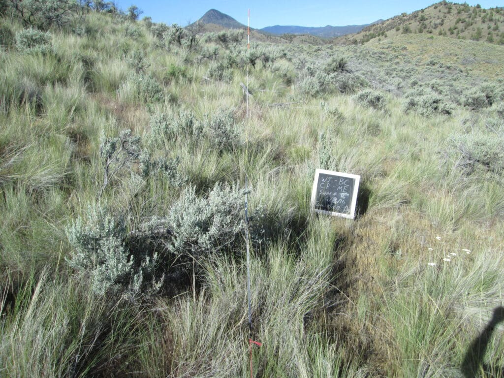 2016: 10 years post-treatment