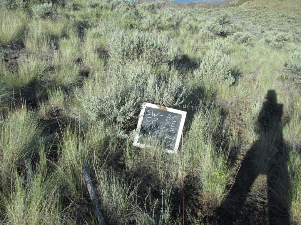 2021: 15 years post-treatment