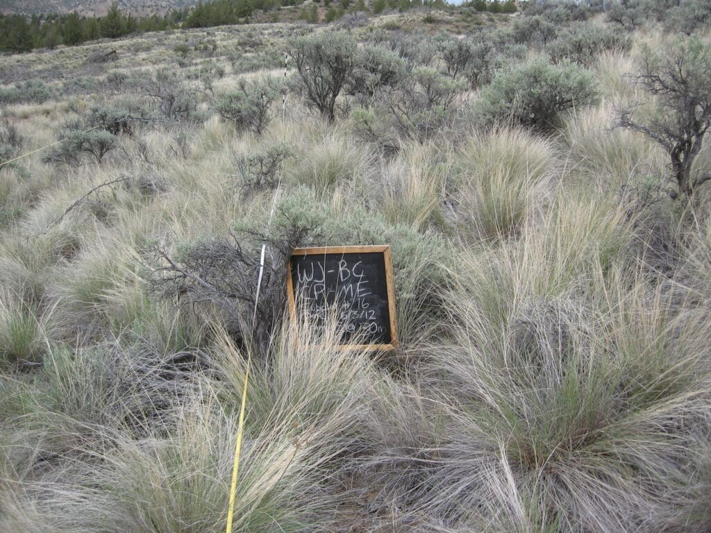 2012: 6 years post-treatment