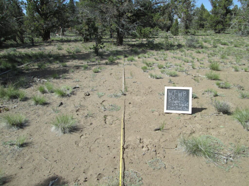 2016: 10 years post-treatment