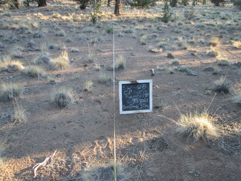 2021: 15 years post-treatment 