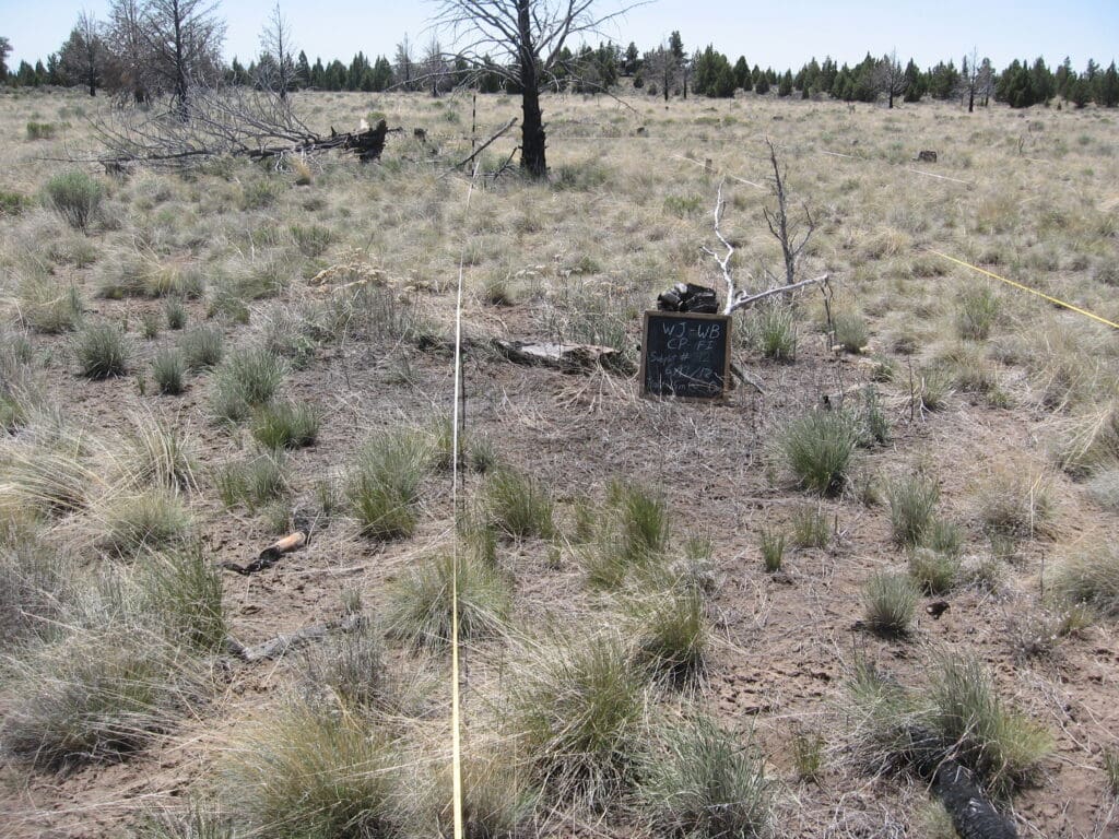 2012: 6 years post-treatment