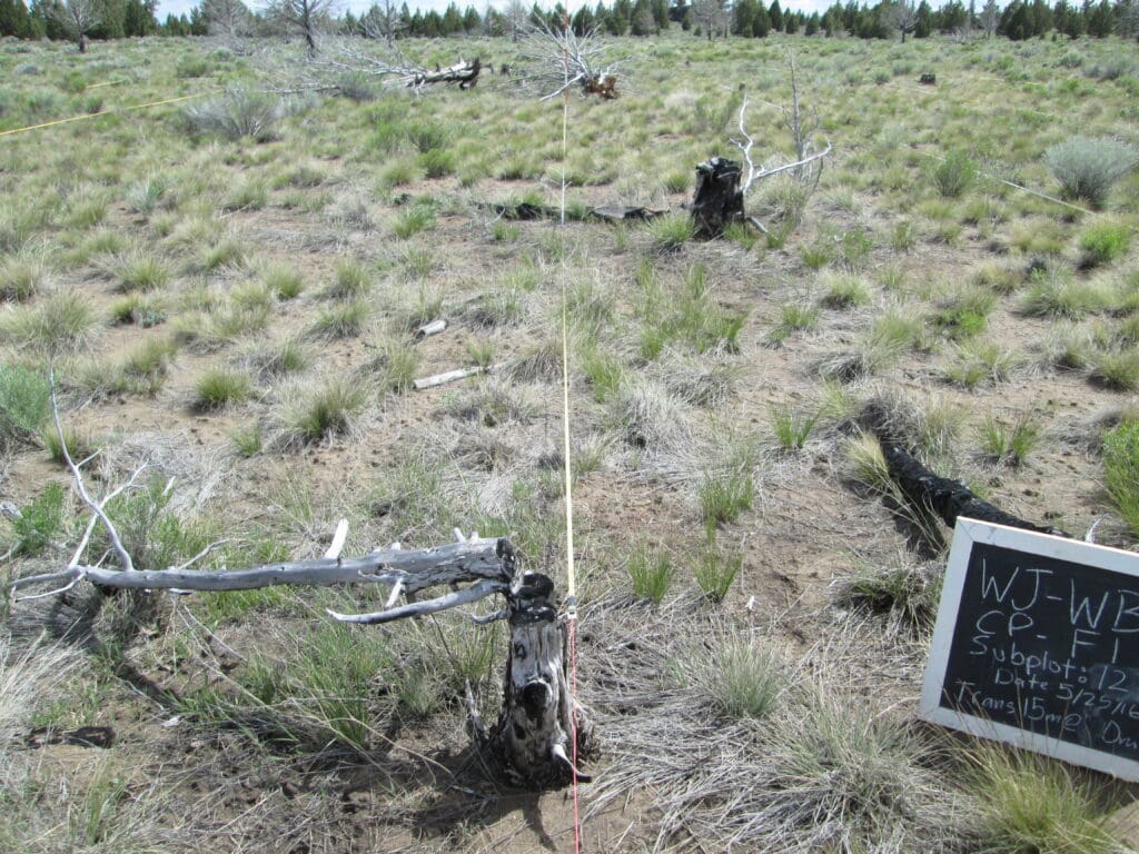 2016: 10 years post-treatment