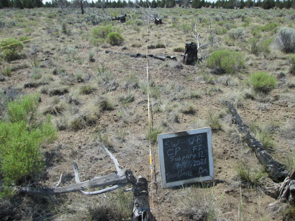 2021: 15 years post-treatment