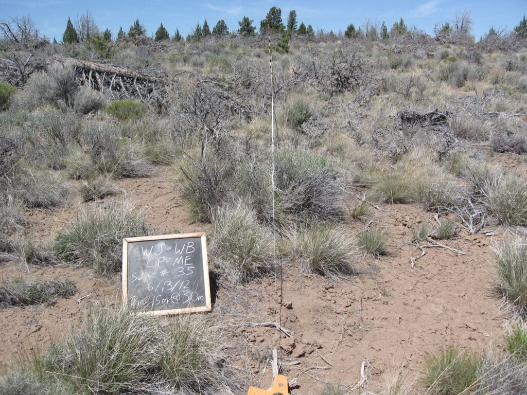 2012: 6 years post-treatment 